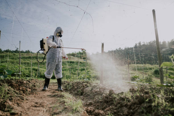 Best Local Pest Control Services  in Forks, WA