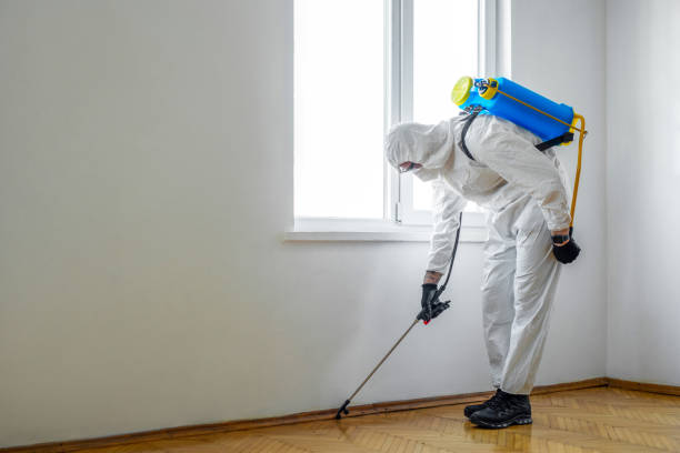 Best Residential Pest Control  in Forks, WA