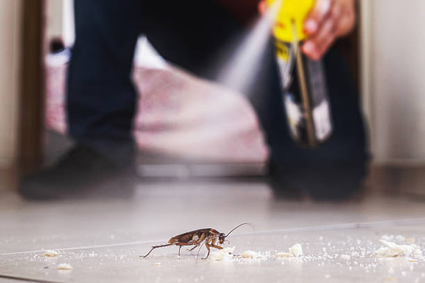 Best Pest Inspection Near Me  in Forks, WA
