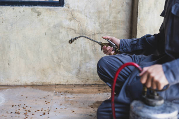 Best Local Pest Control Services  in Forks, WA